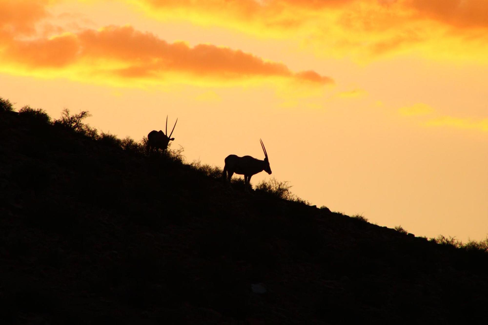Bosch Luys Kloof Nature Reserve Ladismith Luaran gambar