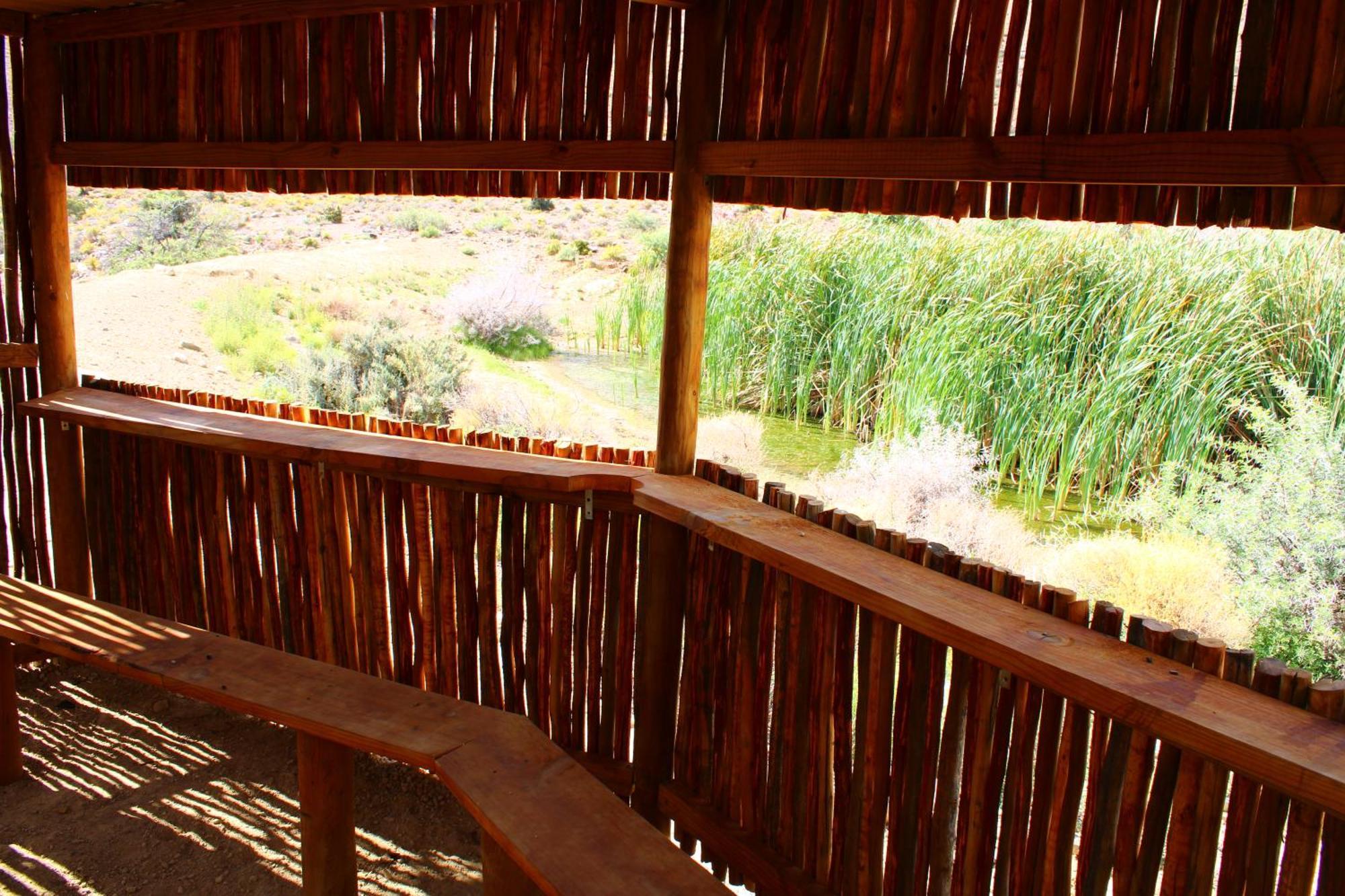 Bosch Luys Kloof Nature Reserve Ladismith Luaran gambar